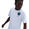 Nike Inter Milan Marškinėliai su herbu HQ8397-100