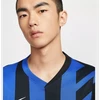 Nike Inter Milan stadiono marškinėliai FN8787-440