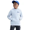 Nike Inter Milanas Bliuzonas HM3651-085
