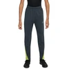 Nike Jaunimo Therma-FIT Academy Kelnės FJ6182-390