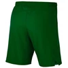 Nike lazerinis Woven IV Short M AJ1245-302 futbolo šortai