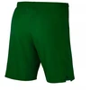 Nike lazerinis Woven IV Short M AJ1245-302 futbolo šortai