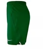 Nike lazerinis Woven IV Short M AJ1245-302 futbolo šortai