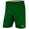 Nike lazerinis Woven IV Short M AJ1245-302 futbolo šortai