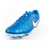 Nike Legend 10 Academy FG/MG futbolo bateliai