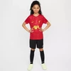 Nike Liverpool FC Academy Pro SS Top Jr FQ0013-688