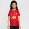 Nike Liverpool FC Academy Pro SS Top Jr FQ0013-688