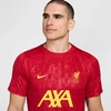 Nike Liverpool FC Academy Pro SStop M FN9653-688 Marškinėliai