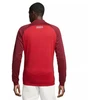 Nike Liverpool FC Akademijos Pro M sportinis džemperis DV5050-687