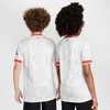 Nike Liverpool FC SS Stadiono Džersis Vaikams FQ2253-101