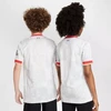 Nike Liverpool FC SS Stadiono Džersis Vaikams FQ2253-101