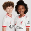 Nike Liverpool FC SS Stadiono Džersis Vaikams FQ2253-101