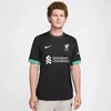 Nike Liverpool FC stadioniniai išvykos 2024/25 marškinėliai FN8780-322