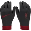 Nike Liverpool FC Thermafit HO23 FJ4857-010 pirštinės