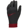 Nike Liverpool FC Thermafit HO23 FJ4857-010 pirštinės
