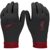 Nike Liverpool FC Thermafit HO23 FJ4857-010 pirštinės