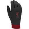 Nike Liverpool FC Thermafit HO23 FJ4857-010 pirštinės