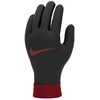 Nike Liverpool FC Thermafit HO23 vaikiškos pirštinės FQ4600-010
