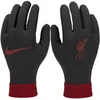 Nike Liverpool FC Thermafit HO23 vaikiškos pirštinės FQ4600-010