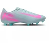 Nike Mercurial Vapor 16 Akademija FG/MG FQ8374-301 batai