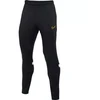 Nike NK DF Academy 21 Jaunių kelnės CW6124 015
