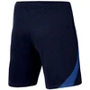 Nike NK DF Strike 22 Šortai KM DH8776 451