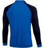 Nike NK Dri-FIT Academy Pro Trk Jkt KM DH9234 463 džemperis