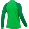 Nike NK Dri-FIT Academy Trk Jkt KW DH9250 329 džemperis