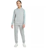 Nike NK Dry Academy Hoodie Po Fp JB Junior CZ0970-019 džemperis