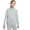 Nike NK Dry Academy Hoodie Po Fp JB Junior CZ0970-019 džemperis