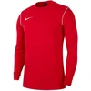 Nike Park 20 Crew Jr BV6901-657 džemperis