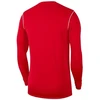 Nike Park 20 Crew Jr BV6901-657 džemperis
