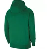 Nike Park 20 džemperis su gobtuvu „Junior CW6896-302“