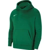 Nike Park 20 džemperis su gobtuvu „Junior CW6896-302“