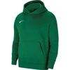 Nike Park 20 džemperis su gobtuvu „Junior CW6896-302“