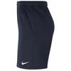 Nike Park 20 Fleece Jaunių Šortai CW6932-451