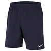 Nike Park 20 Fleece Jaunių Šortai CW6932-451