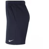 Nike Park 20 Fleece Jaunių Šortai CW6932-451