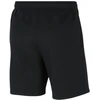 Nike Park 20 Fleece Jr. CW6932-010 šortai