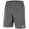 Nike Park 20 Fleece Jr Šortai CW6932-071