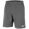 Nike Park 20 Fleece Jr Šortai CW6932-071