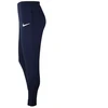 Nike Park 20 Fleece Kelnės Vyrams CW6907-451