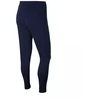 Nike Park 20 Fleece Kelnės Vyrams CW6907-451