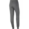 Nike Park 20 Fleece W Kelnės CW6961-071