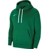 Nike Park 20 Hooded Sweatshirt W CW6957-302
