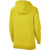 Nike Park 20 Hoody W CW6957-719