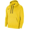 Nike Park 20 Hoody W CW6957-719