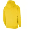 Nike Park 20 Hoody W CW6957-719