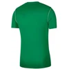 Nike Park 20 Jr BV6905-302 Marškinėliai