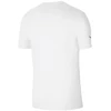 Nike Park 20 Jr Marškinėliai CZ0909-100